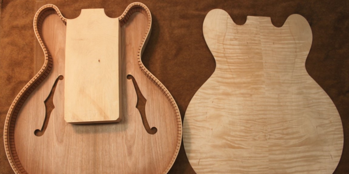 Guitare semi hollow body Guitare semi hollow body