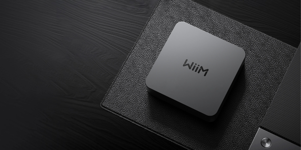 WiiM audio connecte