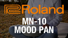Roland Handpan miniature