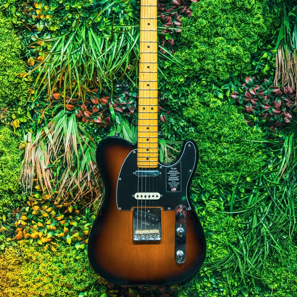 Fender American Pro Classic HotShot Tele_1