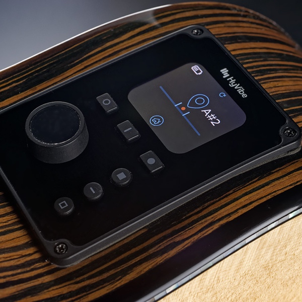 Hyvibe preampli H2