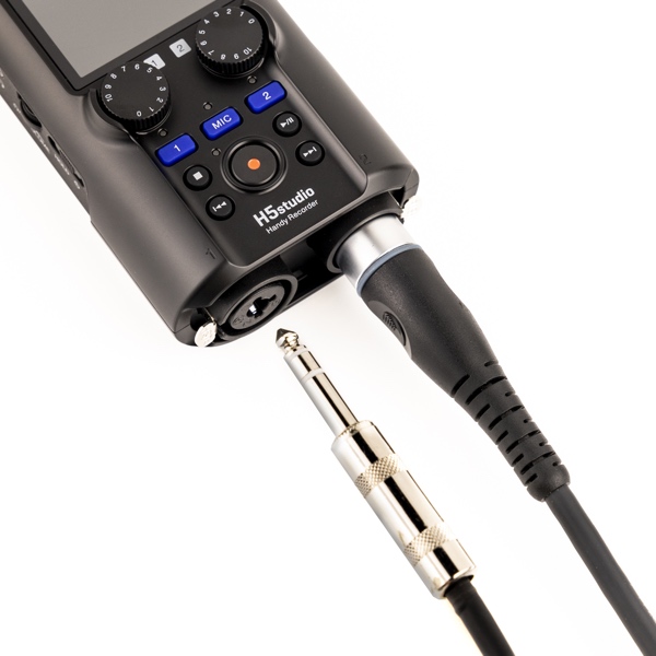 Zoom H5studio_entrees polyvalentes