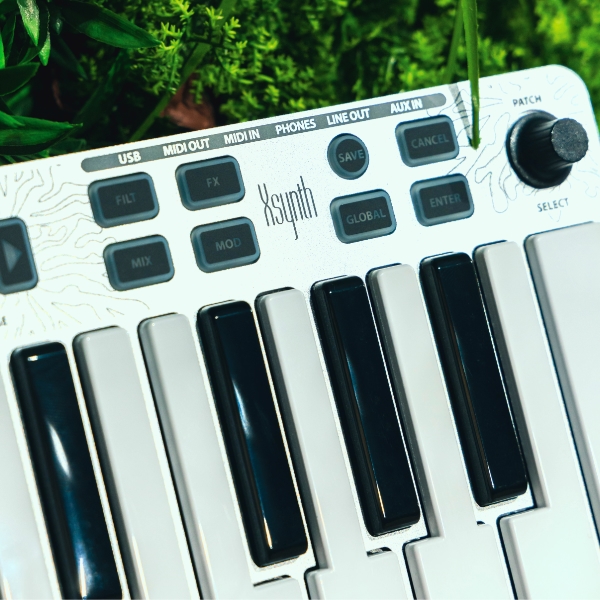 ESI Xsynth toucher