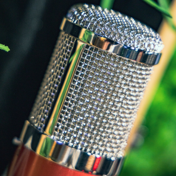 Grille Avantone pro CK7 Grille Avantone pro CK7