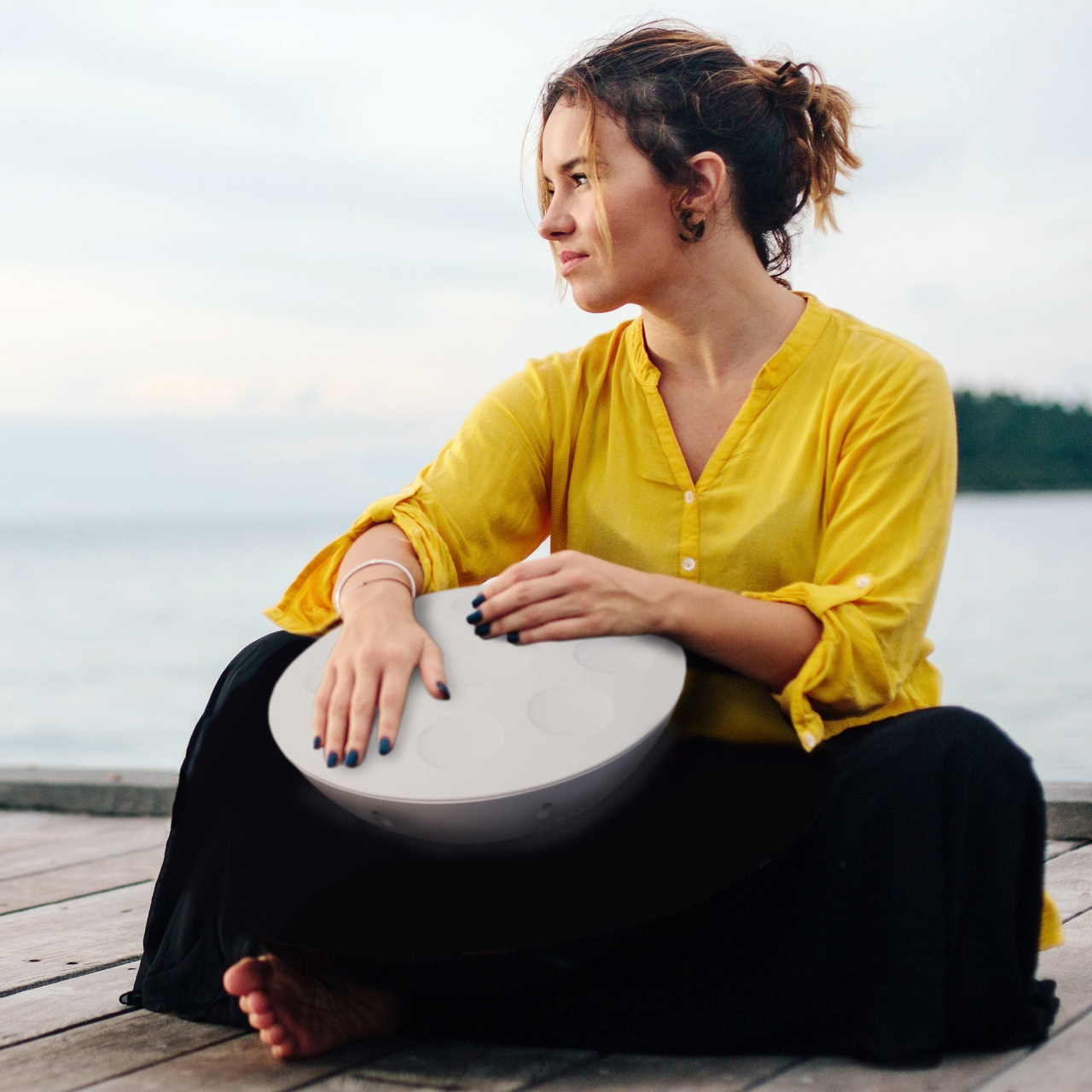 Roland Mood Pan Hand Pan