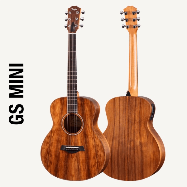Taylor GS mini