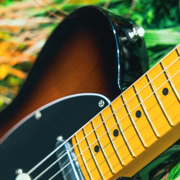 Fender American Pro Classic HotShot Tele_3
