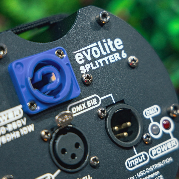 Evolite Splitter 6 back Evolite Splitter 6 back