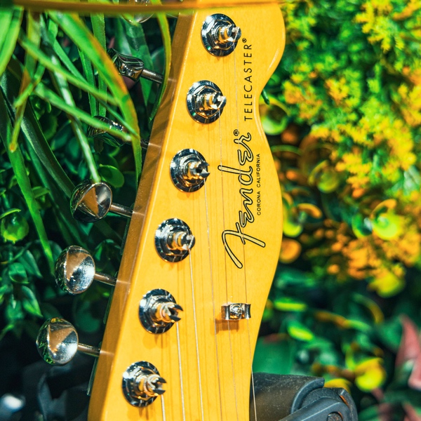 Fender American Pro Classic HotShot Tele_2