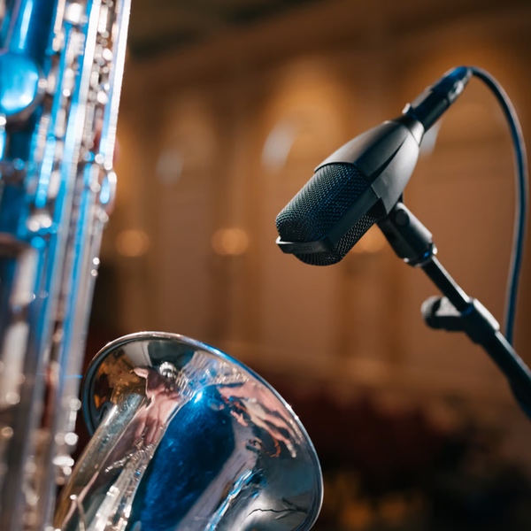 Sennheiser MD421 Kompakt sur cuivre Sennheiser MD421 Kompakt sur cuivre