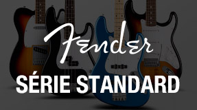 Fender standard series mini