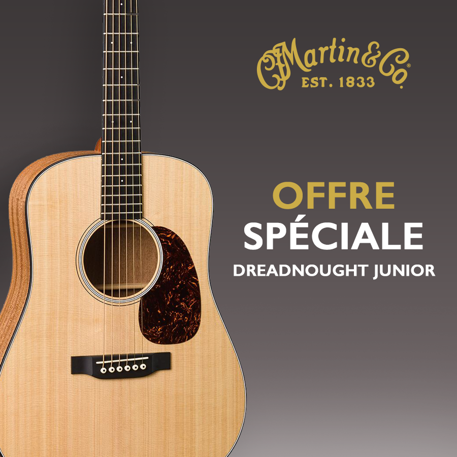 Martin Guitars