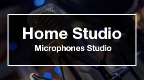 Microphones studio mini