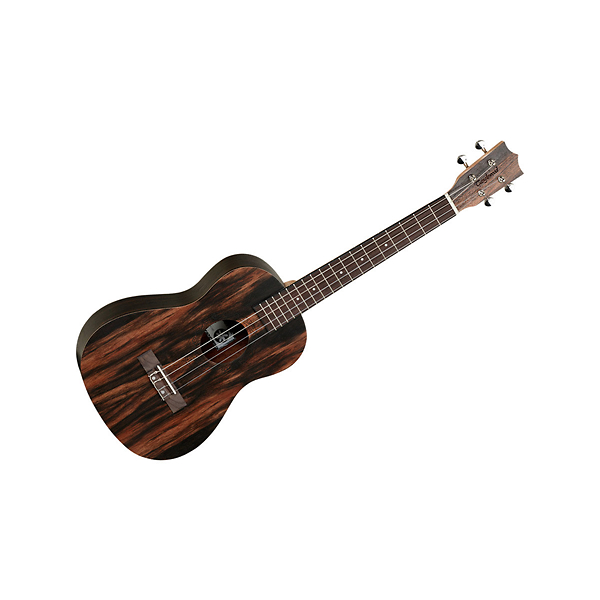 TANGLEWOOD TWT20 ukulele BARYTON