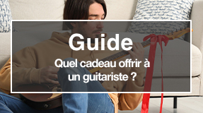 Idee cadeau pour guitariste