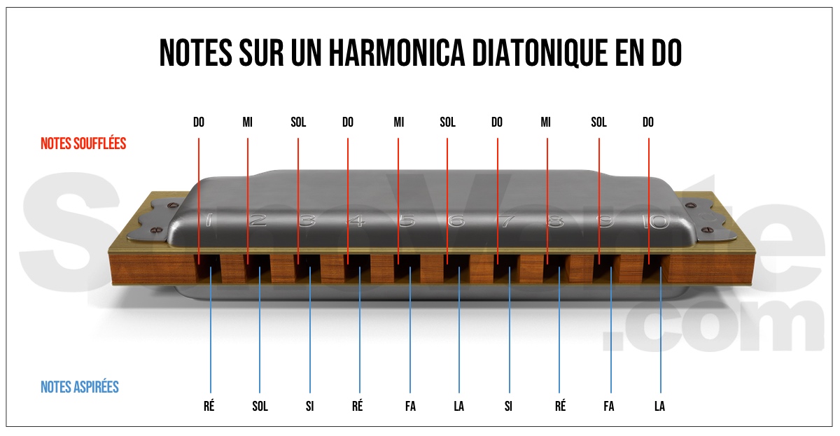 Osuter 2 Pièces Harmonica Diatonique,Harmonica en Do à 10 Trous avec Boîte Instrument de Musique Harmonica pour Débutants Enfants Étudiants Cadeau 