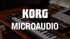 Interfaces Korg MicroAUDIO New