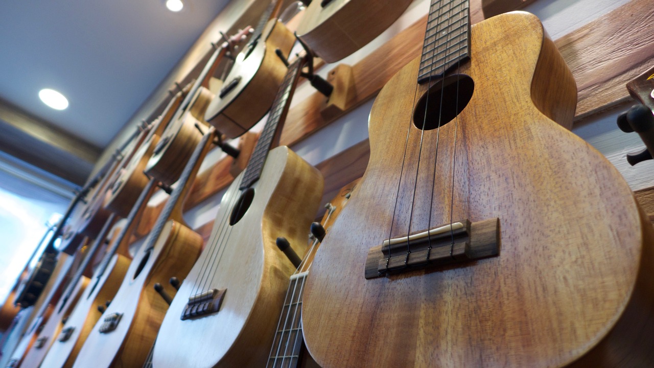 prix d'un bon ukulele