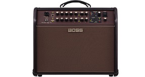 Boss Acoustic Singer Pro