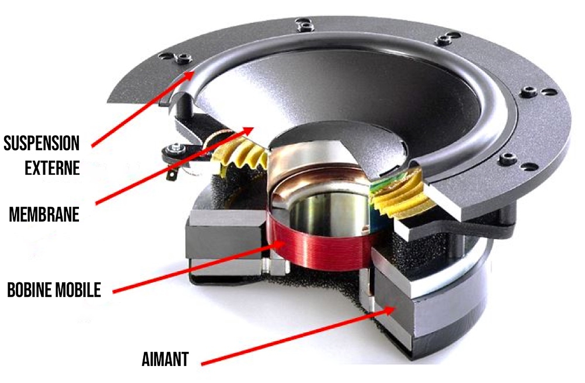 N cessit De Changer Les Haut Parleur A3 8L 1996 2003 