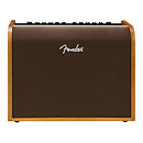 FenderAcoustic 100