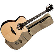 Guitare folk électro