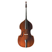 Acoustic Double Bass
