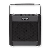 FenderPassport Mini