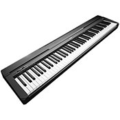 Claviers de scène & Pianos