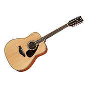 Guitare acoustique 12 cordes