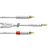 CordialCFY 6 WCC-SNOW