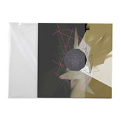 Enova Hifi PEV 100 Protection pochette vinyle 33T