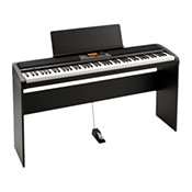 Korg XE20 SP