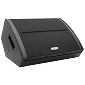 Luidspreker voor podiummonitor