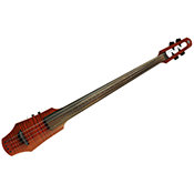 Electric Cello