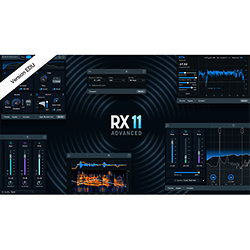 RX 11 Advanced EDU (licence) Izotope