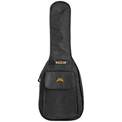 AGB20F Guitare Folk Tobago