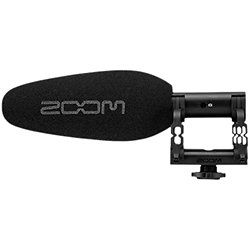 ZSG-1 Micro pour caméra Zoom