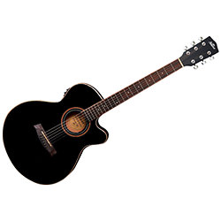 GFS ASCE 201 Black Shiver