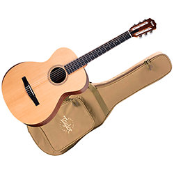 Academy 12e-N + Housse Taylor