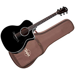 214ce-BLK Plus + Housse Taylor
