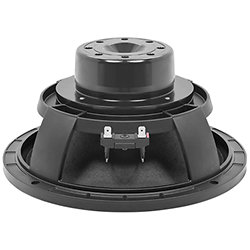 10MBX64 16 Ohm B&C Speakers