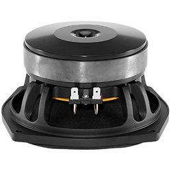 6PS44 8 Ohm B&C Speakers