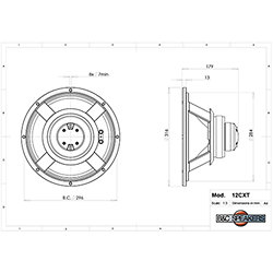 12CXT 8 Ohm Coaxial B&C Speakers