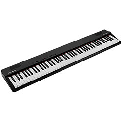 GO:88PX GO:PIANO88 Roland