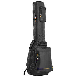 Deluxe Line Basse hollow body Rockgear