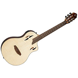 ギター Line 6 Variax 300 Acoustic Nylon Guitar Line 6 Variax 300 Nylon Acoustic 2nd Hand | Rich Tone Music