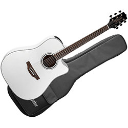 YAMAHA APX1000 ホワイト Yamaha APX1000 - Pearl White - pearl white Guitare folk