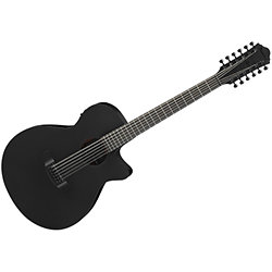 【美品】Ibanez AEL2012E-TKS-27-03 12弦エレアコ 美品】Ibanez AEL2012E-TKS-27-03 12弦エレアコ Ibanez AEL2012E TKS