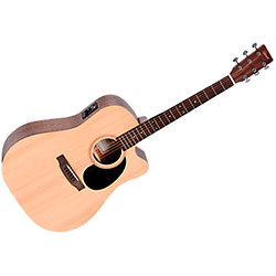 Ibanez AEG24II-TGB - Folk Electro Acoustic Guitar SonoVente.com - en